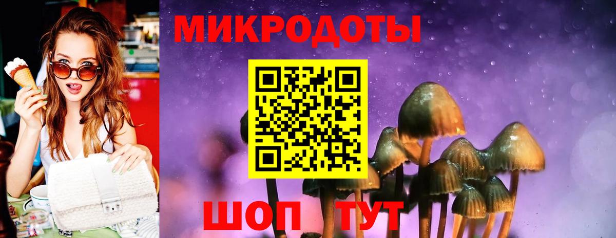 даркнет сайт  Псилоцибиновые грибы Psilocybine cubensis  Вход с VPN  Псилоцибиновые грибы Psilocybine cubensis  Соликамск 
